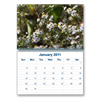 Calendars - Wall